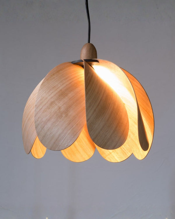 Australian Timber Propeller Droop Pendant