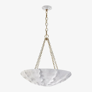 Organic Sculpted Chandelier Light