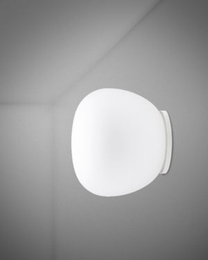 Dome Wall & Ceiling Light