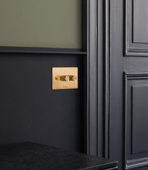 Dimmer Switch | Double | Brass | Lighting Collective