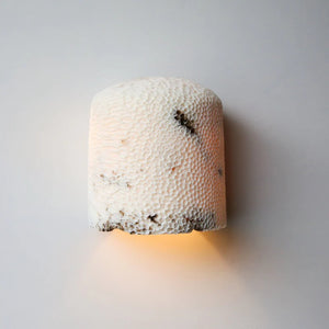 Fossil Coral Dome Flush Wall Sconce