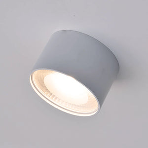 Surface Mounted White LED Downlight | Assorted Size | TRIColour