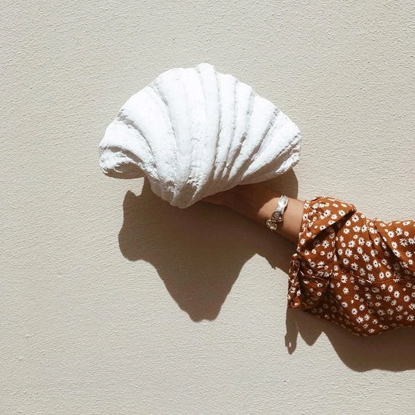 White Shell Wall Light