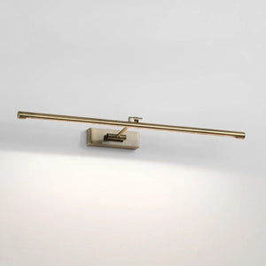 Transitional Adjustable Picture LED Wall Light | Assorted Finishes