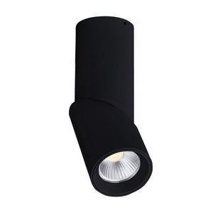 LED Rotatable Downlight | Assorted Finish | TRIColour