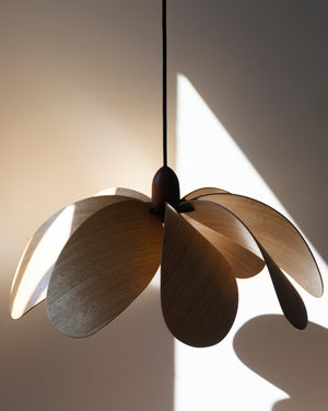 Australian Timber Propeller Pendant