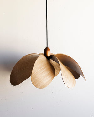 Australian Timber Propeller Pendant