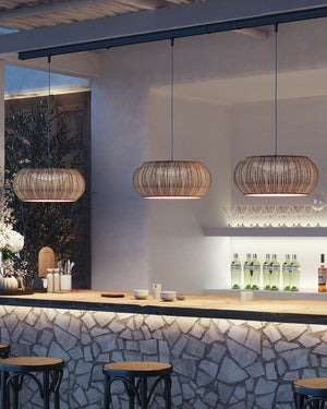 Exterior Curved Pendant Track Light