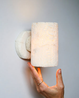 Fossil Coral Tube Wall Sconce Small Fossil Coral Hands