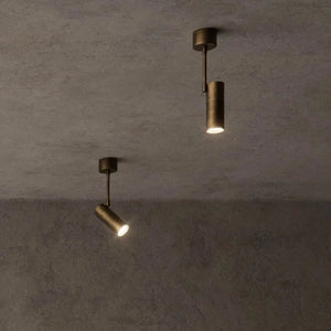 Industrial Adjustable Spot Light aged brass finish