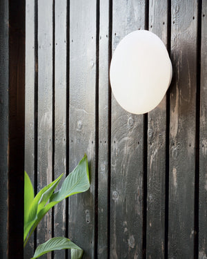 White spherical outdoor light fixture on a wooden wall with a plant in the foreground.