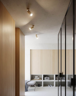 Semi Flush Industrial Spotlights in a bedroom highlighting the closet