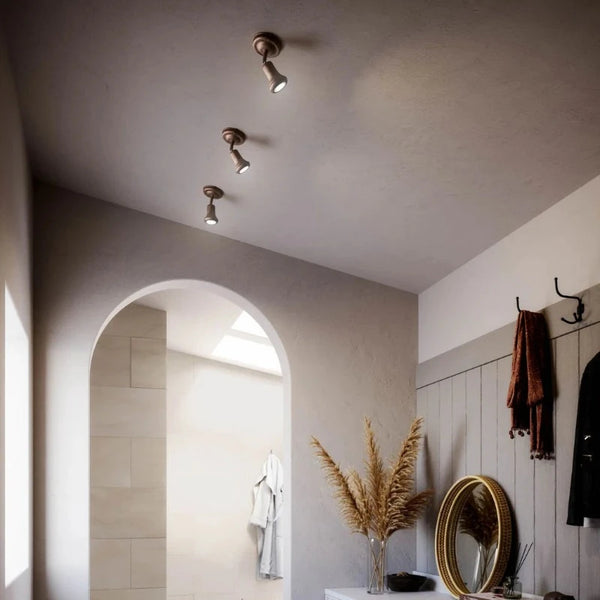 Decorative Brass Wall or Ceiling Light