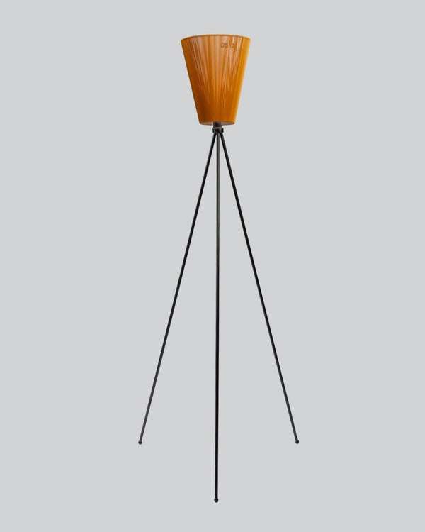 Caramel / Black Matte