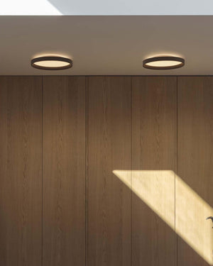 Modern Metal Circular Ceiling Light