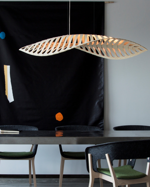 Navicula Pendant Light