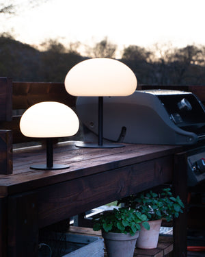 Two outdoor lamps on a wooden surface with a scenic background