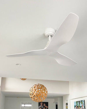 Three Blade Ceiling Fan | Simplicity DC | ThreeSixty
