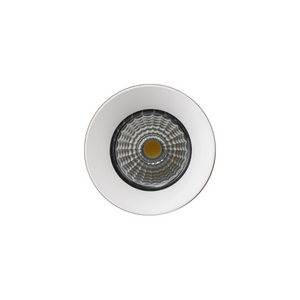 Trimless LED Downlight | Five Colour