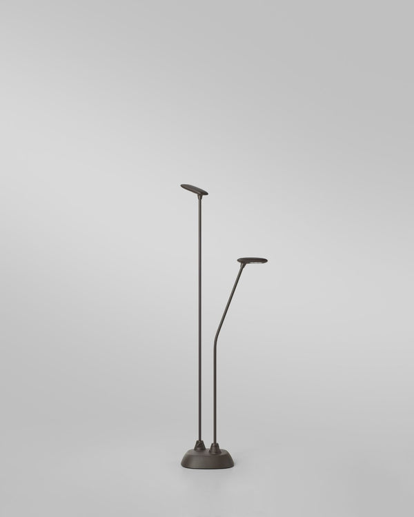 Small / Straight & Curved