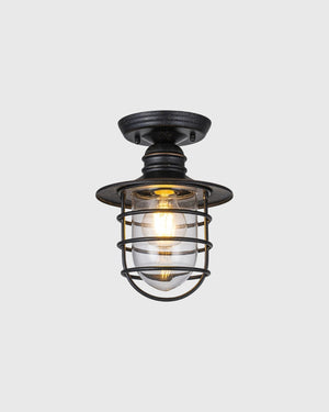 A single industrial-style semi-flush mount ceiling light fixture with a black metal canopy, protective cage, and visible warm white bulb inside a clear glass shade, shown against a light gray background.