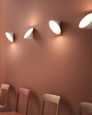Blossom Wall & Ceiling Light | Assorted Finishes - Lighting Collective