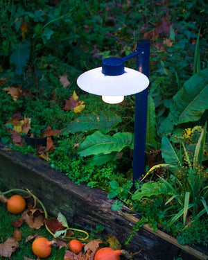 Shaded bollard light with opal diffuser in garden bed 