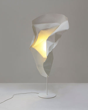 Crash Albus Floor Lamp-Lighting Collective