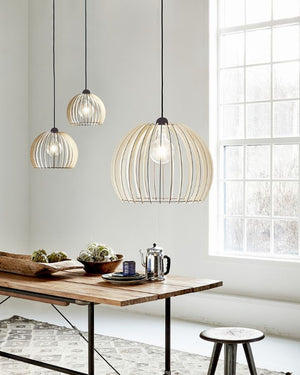 Designer Danish Pendant