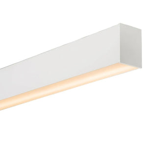 Dual Shine Linear Pendant White Downlight