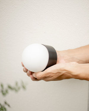 Elegant Miniature Orb Wall Light - Lighting Collective