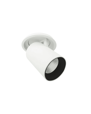 Extendable Down Light | Adjustable