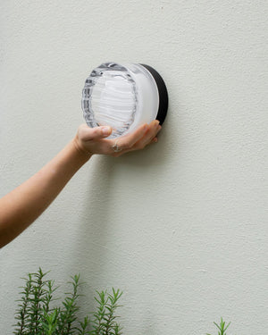 Exterior Thick Textured Glass Wall Light | Black | Styled Outside