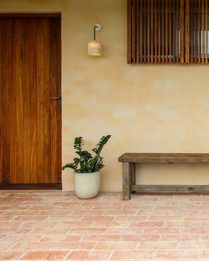 Fossil Coral Arc Dome Wall Light | Large