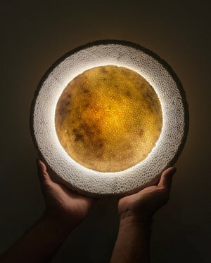 Fossil Coral Circular Wall Sconce On Front hands