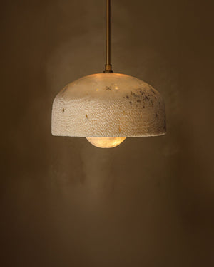 Fossil Coral Pearl Hanging Pendant showcasing a textured shade against  a warm dark background 