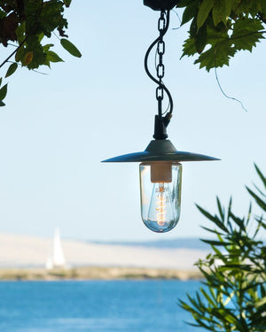 Pendant light hanging outdoors with a scenic background of water and sky.