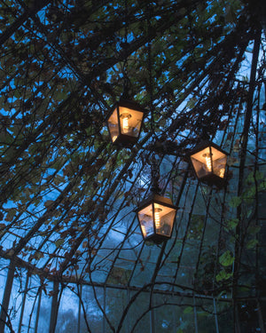 Three illuminated outdoor lamps hanging from a tree at night.