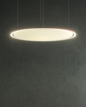 Acoustic U Hoop Pendant Light | Rust