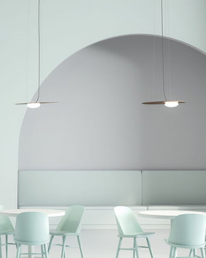 Aluminium Disc Suspended Pendant | Rust