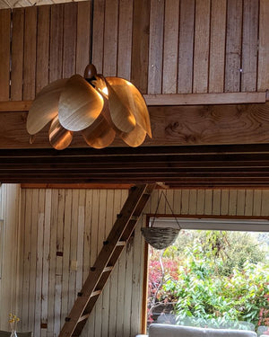 Australian Timber Propeller Pendant | Copper Laminate | Tasmanian Eucalypt | Polished | Lighting Collective