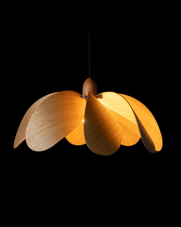 Tasmanian Eucalypt