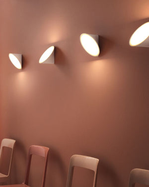 Blossom Wall & Ceiling Light | White