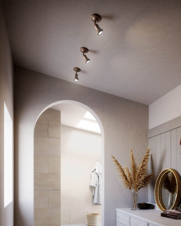 Decorative Brass Wall or Ceiling Light