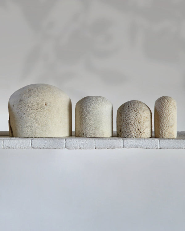 Medium / 3 Beads