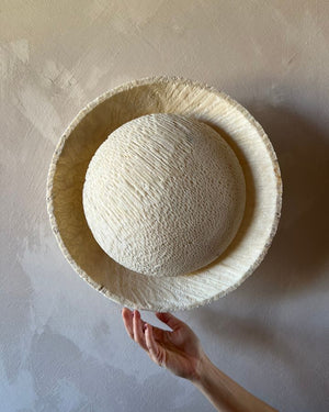 Fossil Coral Circular Wall Sconce