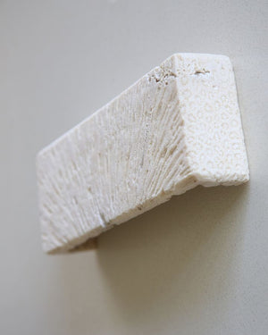 Fossil Coral Rectangle Wall Sconce | Lighting Collective