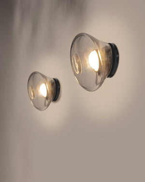 Italian Organic Glass Wall Light | Clear