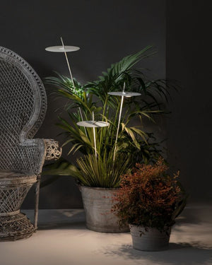 Landscape Matte White Disc Spike Light