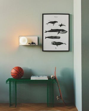 Minimalist Wall Shelf Light | White